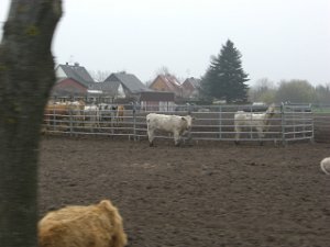 RTF Aschen.2009 026